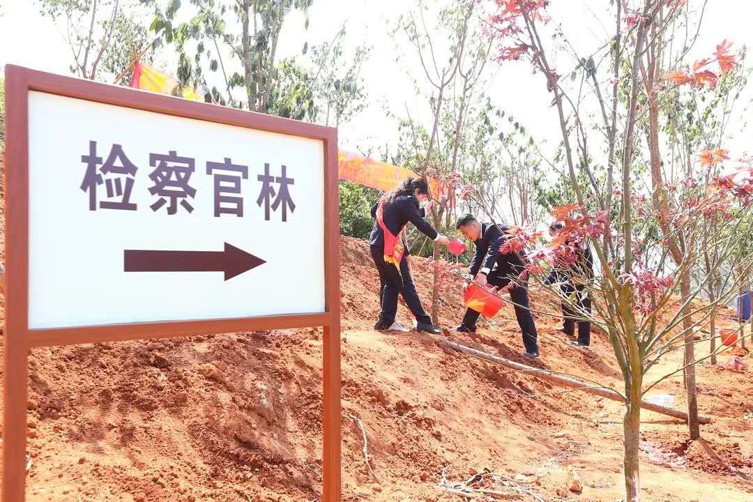 微信图片_20200410110923